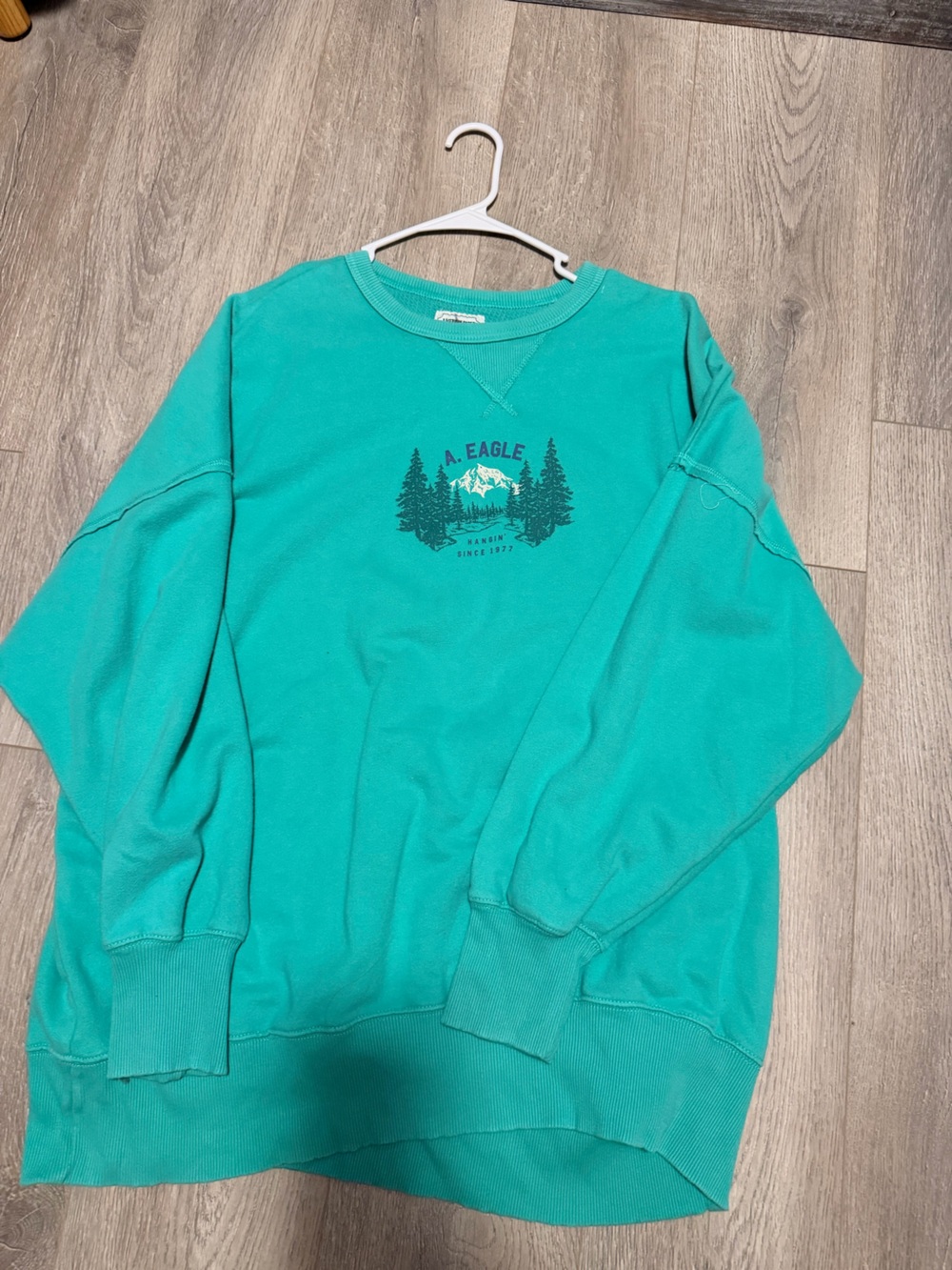 American Eagle Outfitters Teal Mountain Crewneck Sweatshirt